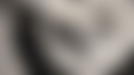 Nuova famiglia cruna catena Race di Acerbis