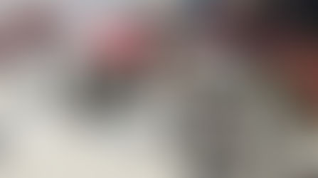 Vertemati torna nel cross con la VN 450