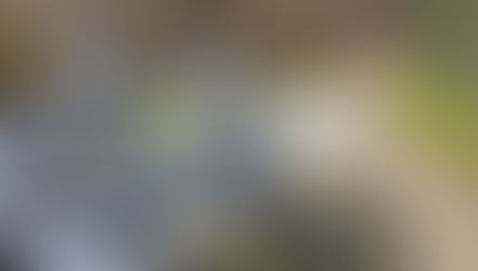 Test Husqvarna TE 300 PRO vs FE 350 PRO 2026