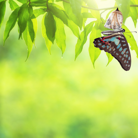 Purposeful Check-In: A mid-year review