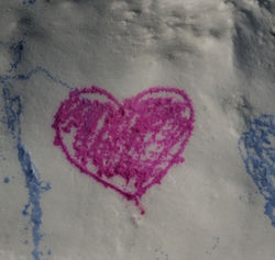 IMG_20210129_104629