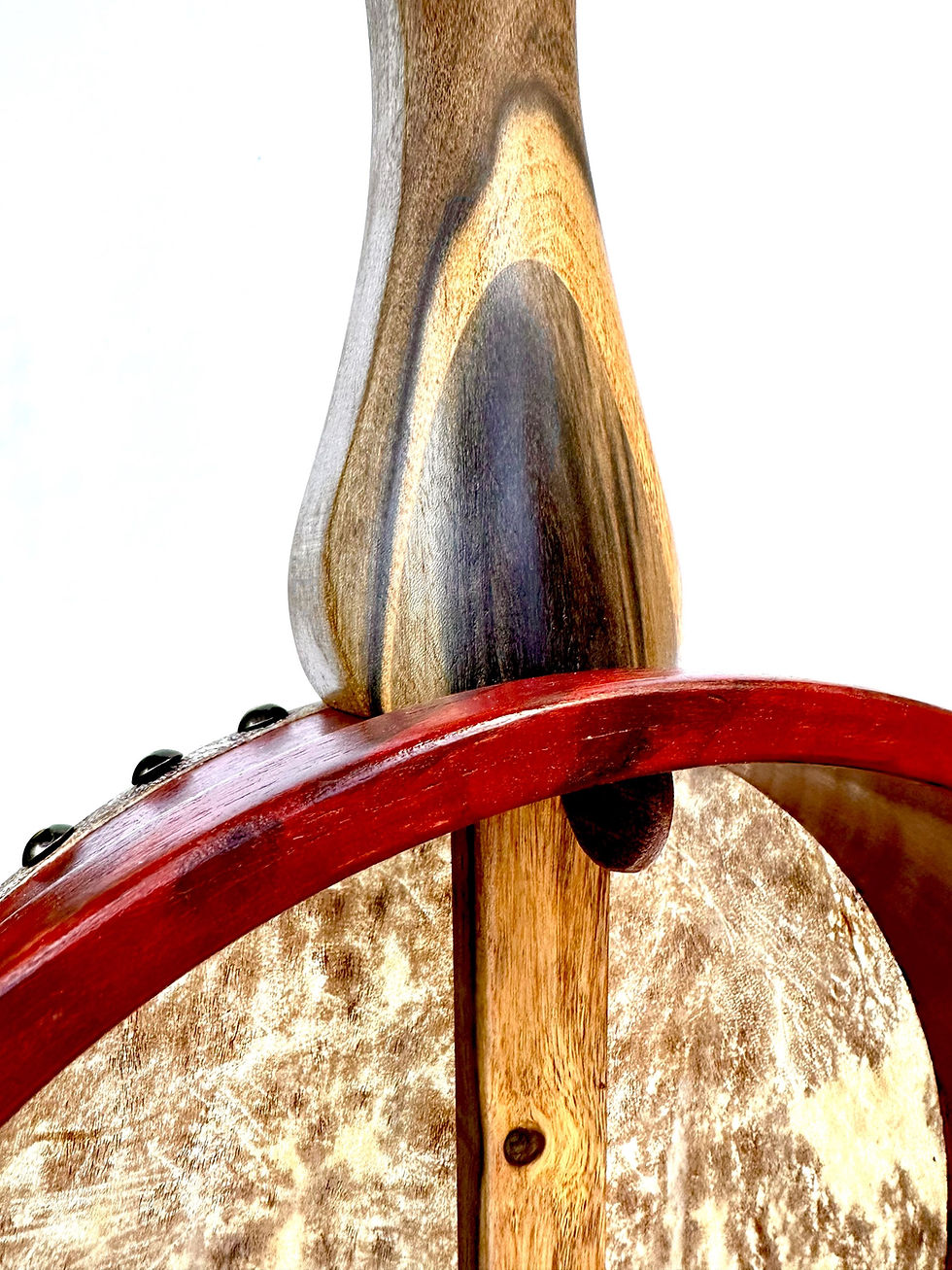 Thumbnail: The American Songster Model Tackhead Banjo