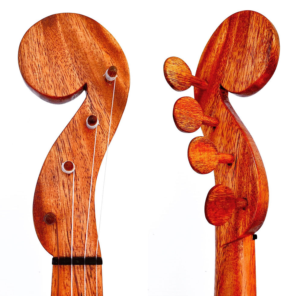Thumbnail: Mahogany 5 String Gourd Banjo