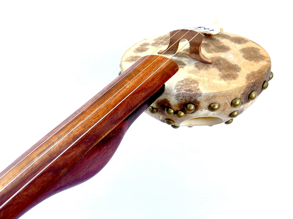 Thumbnail: Gourd fiddle 