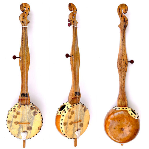 5 String Spalted Wormy Mango Gourd Banjo | Menzies Instruments