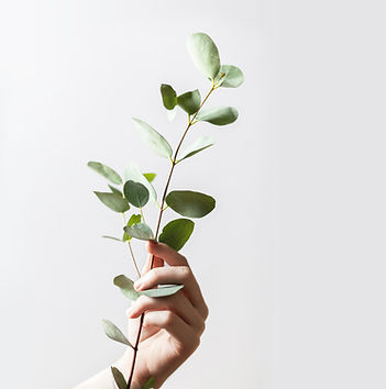 Therapy Austin Near me