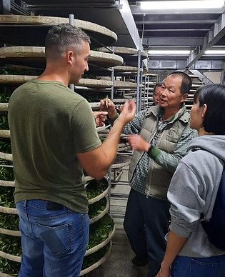 WhatsApp Image 2024-10-20 at 04.13.48_28a62387.jpg