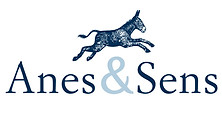 ânes et sens logo.jpeg