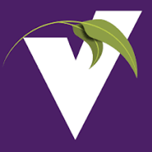 valnet.png