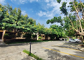 Apartamento en Segunda Planta