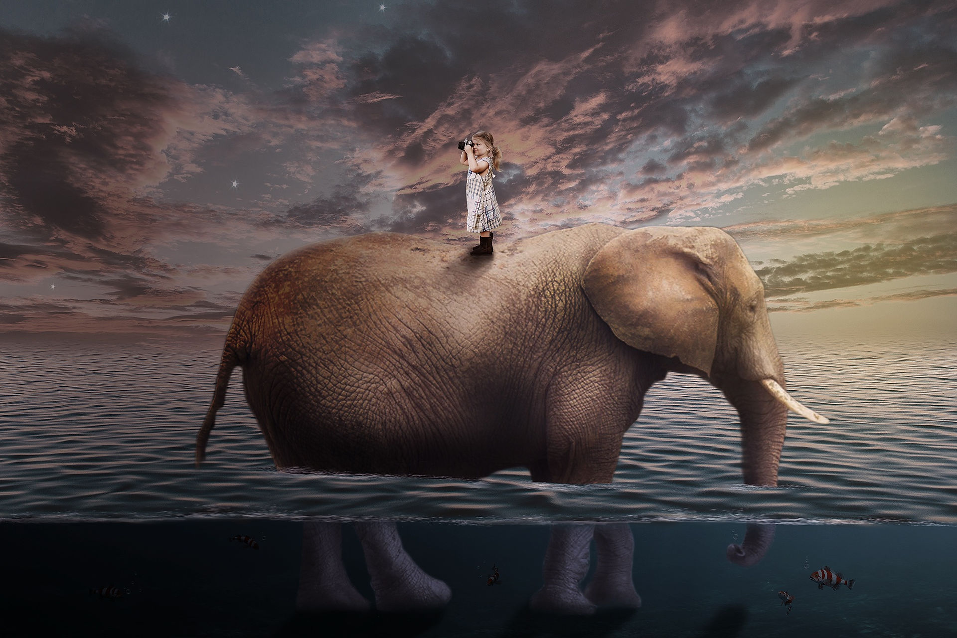 Fantasias infantis, criança sobre um elefante na água, surrealismo