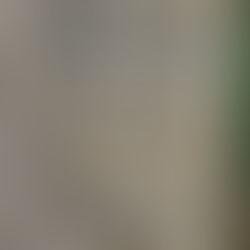 Rock Painters and Hunters