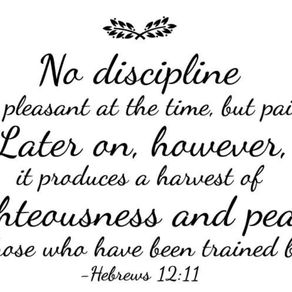 Discipline