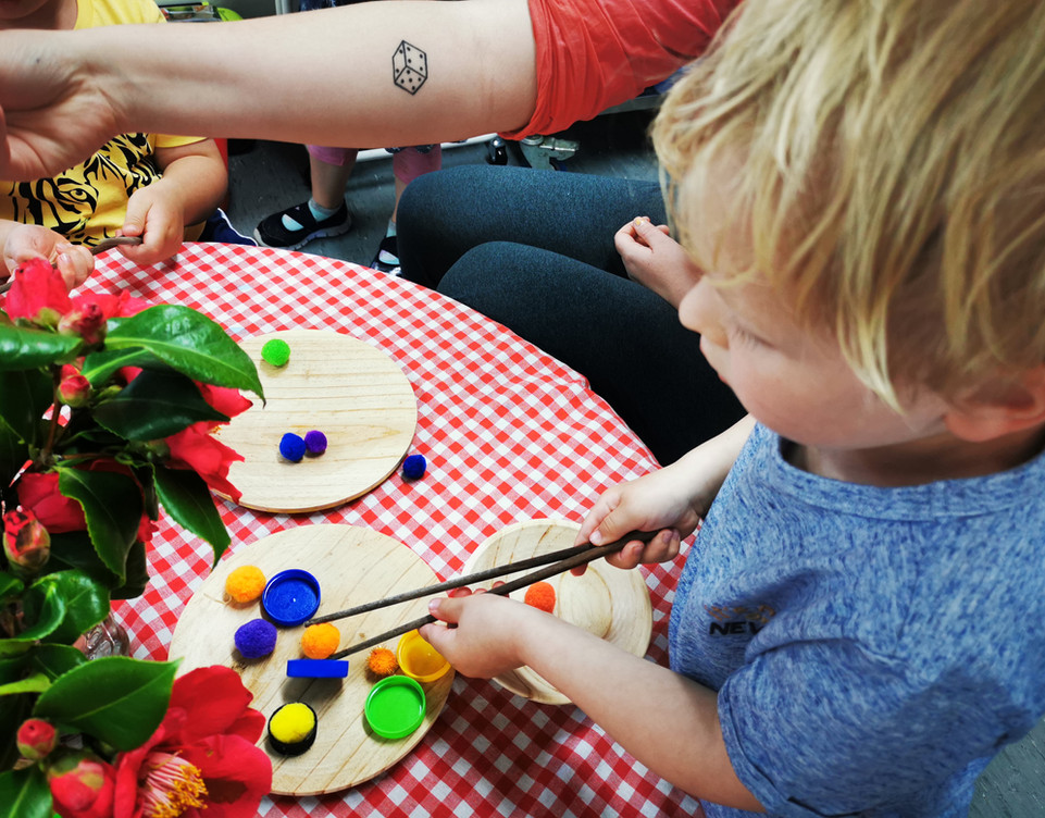 Our Environment Cashmere Early Learning Centre Christchurch
