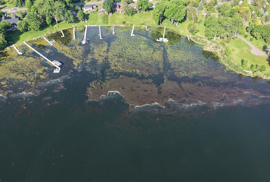 DJI_20260602083623_0027_D.JPG