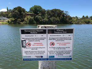 Swimmable Kerikeri River?
