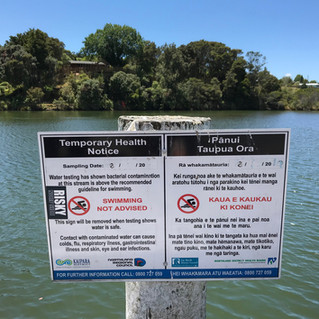 Swimmable Kerikeri River?