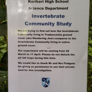 Research project underway adjacent to Wairoa Stream track