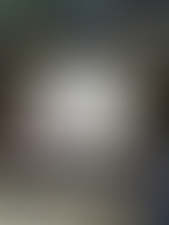 Progress on new Wairoa Stream footbridge