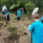 Kerikeri Primary School pupils planting along the Wairoa Stream
