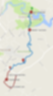 Wairoa Stream Track