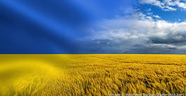 Nasjonal dag i Ukraina