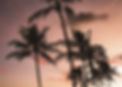 Pink Sky Image.jpg