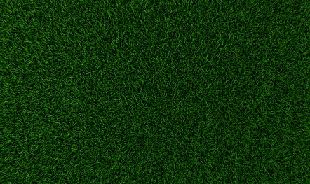 Grass Texture_edited.jpg