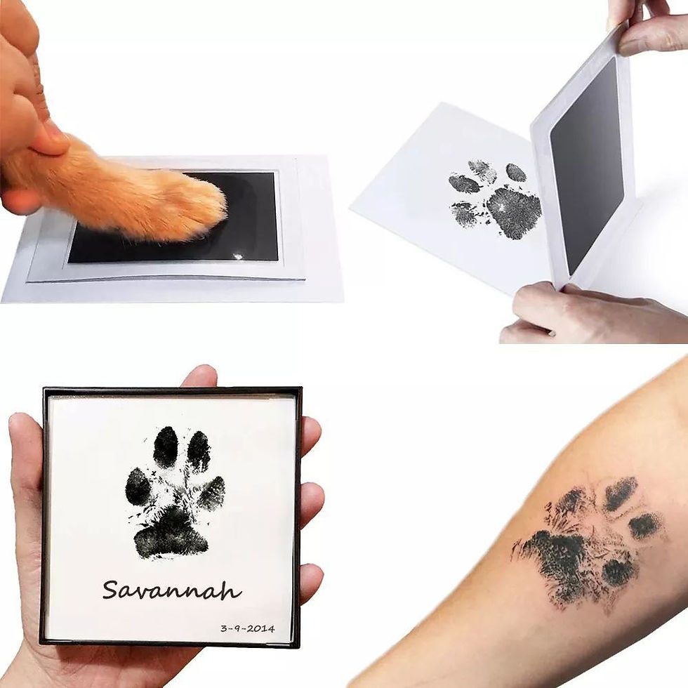 Thumbnail: Pet Handprint And Footprint Kit For Dog & Cat; Dog Paw Print Pad Kit; Clean Touc