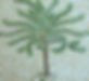 Cropped_tree_test.jpg