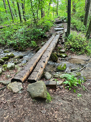 Uncover divine wisdom and spiritual insights through faith-based dream reflection, where God’s messages unfold in the language of your subconscious.