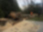 Tree Removal