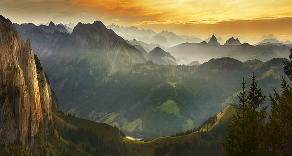 AdobeStock_314652341.jpeg