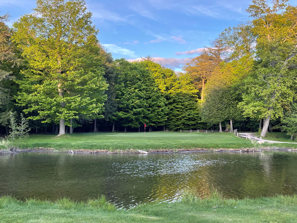NO_6_Green_from_across_the_water._Spring_2022.jpg