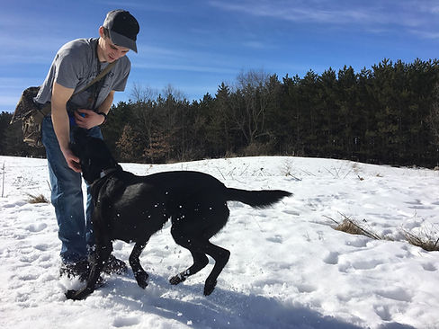 Dog Training Wisconsin Rapids WI