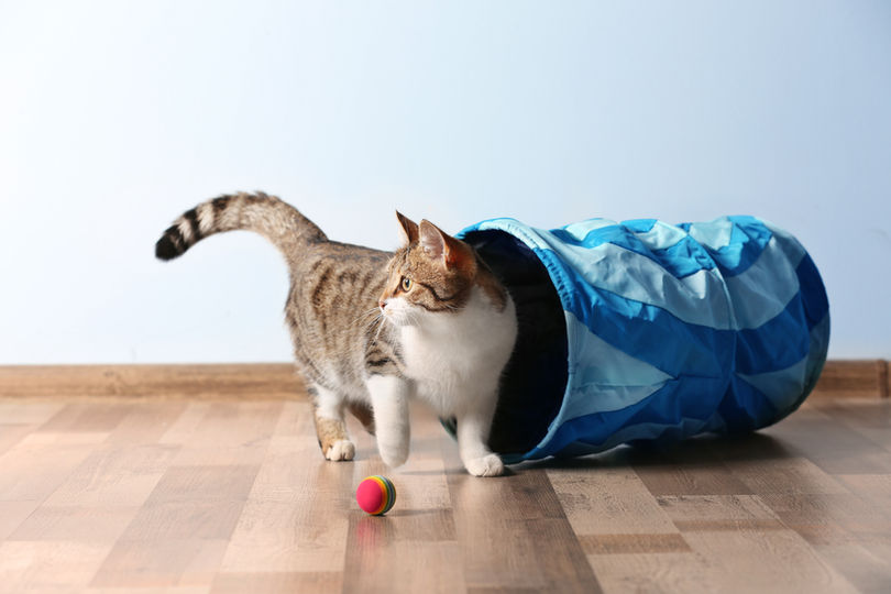 AdobeStock_134187751.jpeg