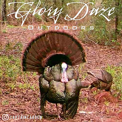 turkey_strut__1_.jpeg