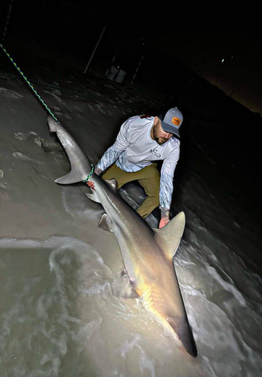 a person holding a shark they caught on a beach