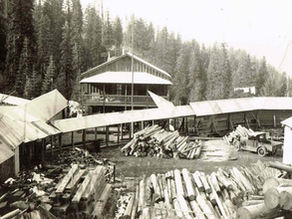 The Ruby Mine