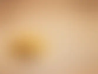 The Financial Aspects of Divorce: What Every Couple Should Know