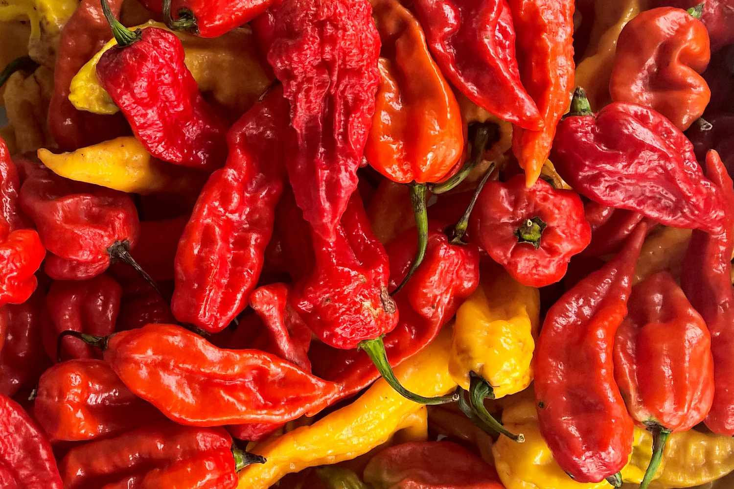 Ghost Pepper Blaze Chile Powder