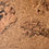 Thumbnail: Accent  Duro Finish