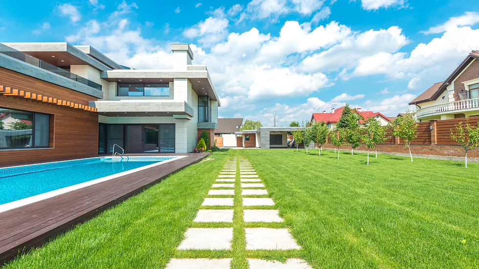 landscape (18).png