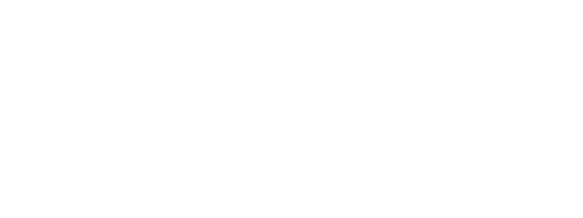 VFISof-Arkansas-wht.png