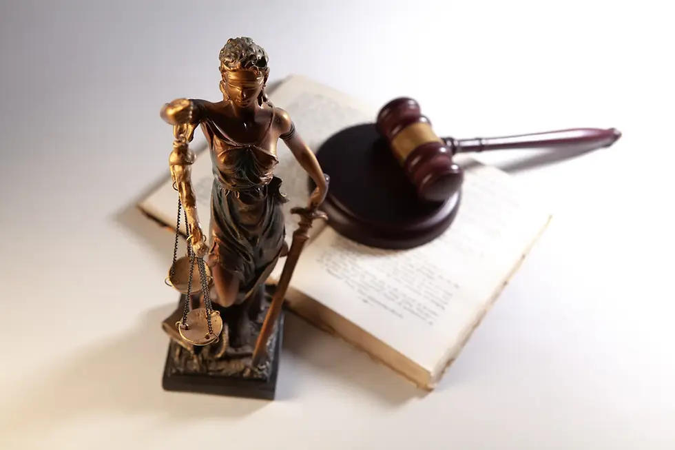The Importance of Legal Representation in Custody Cases