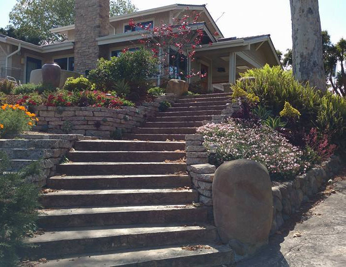 landscape design