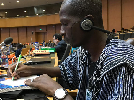 RZMAPS et WSM donnent de la voix à la 3ème session de la CTS-DSTE de l’Union Africaine