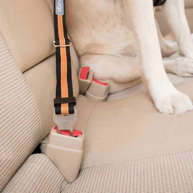 Thumbnail: Kurgo Seatbelt Tether