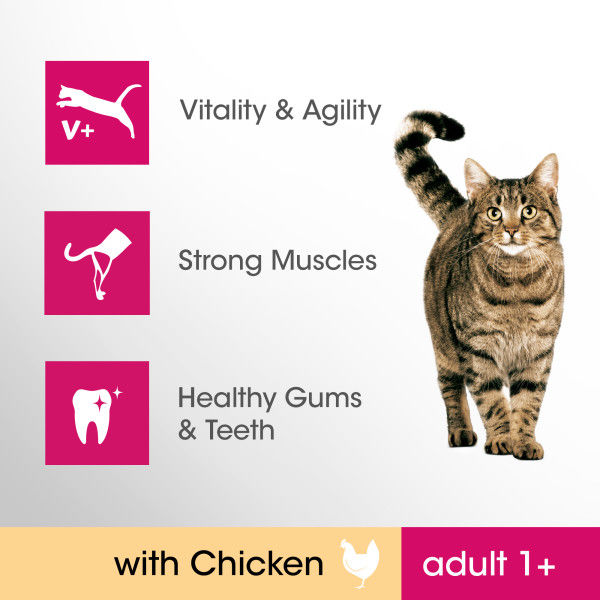Thumbnail: Perfect Fit Cat Complete Adult 1+ Chicken