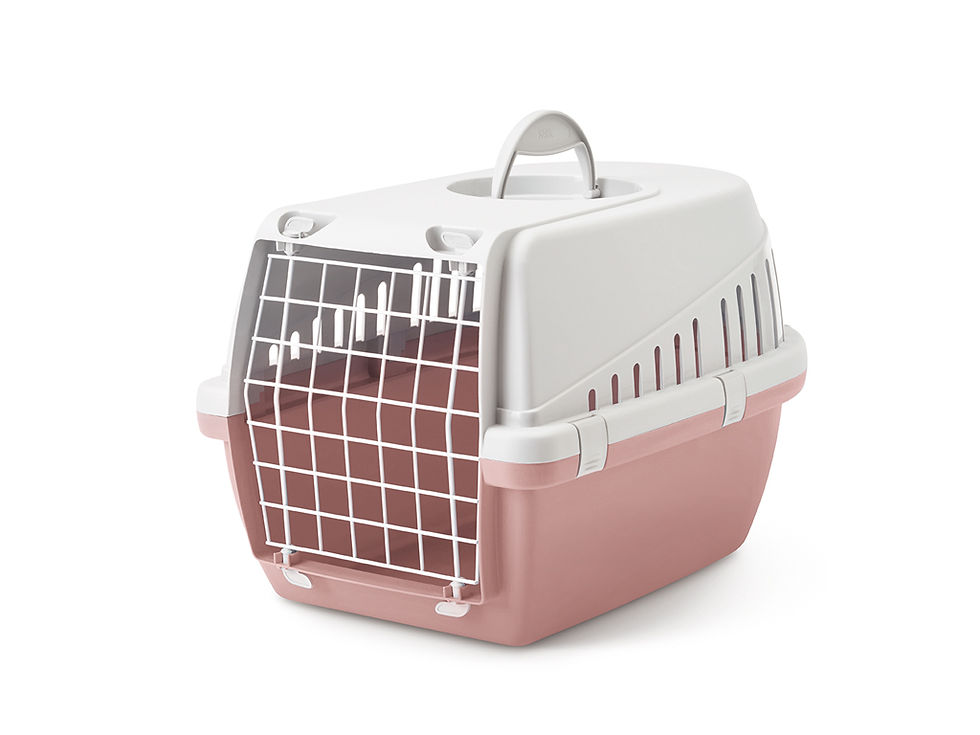 Thumbnail: Trotter Pet Carrier
